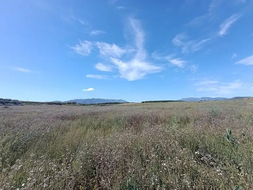 Lands and plots for sale in Mula, imagen 13