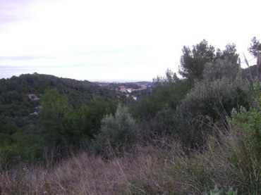 Terreno residencial en venta en Calle joan miro 40