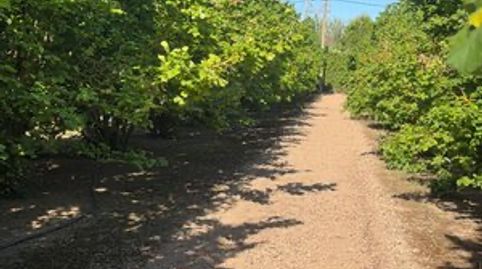 Terreno en Constantí, immagine 4