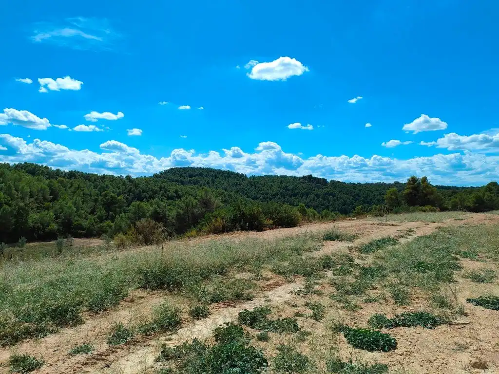 Rural land for sale in Horta de Sant Joan, imagen 13