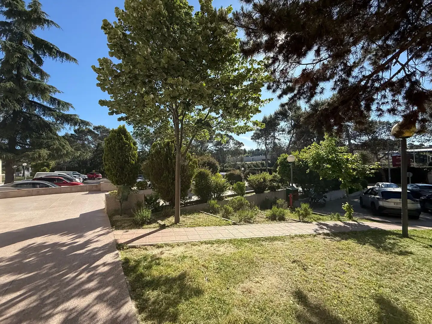 Jardí de Local en venda en Boadilla del Monte