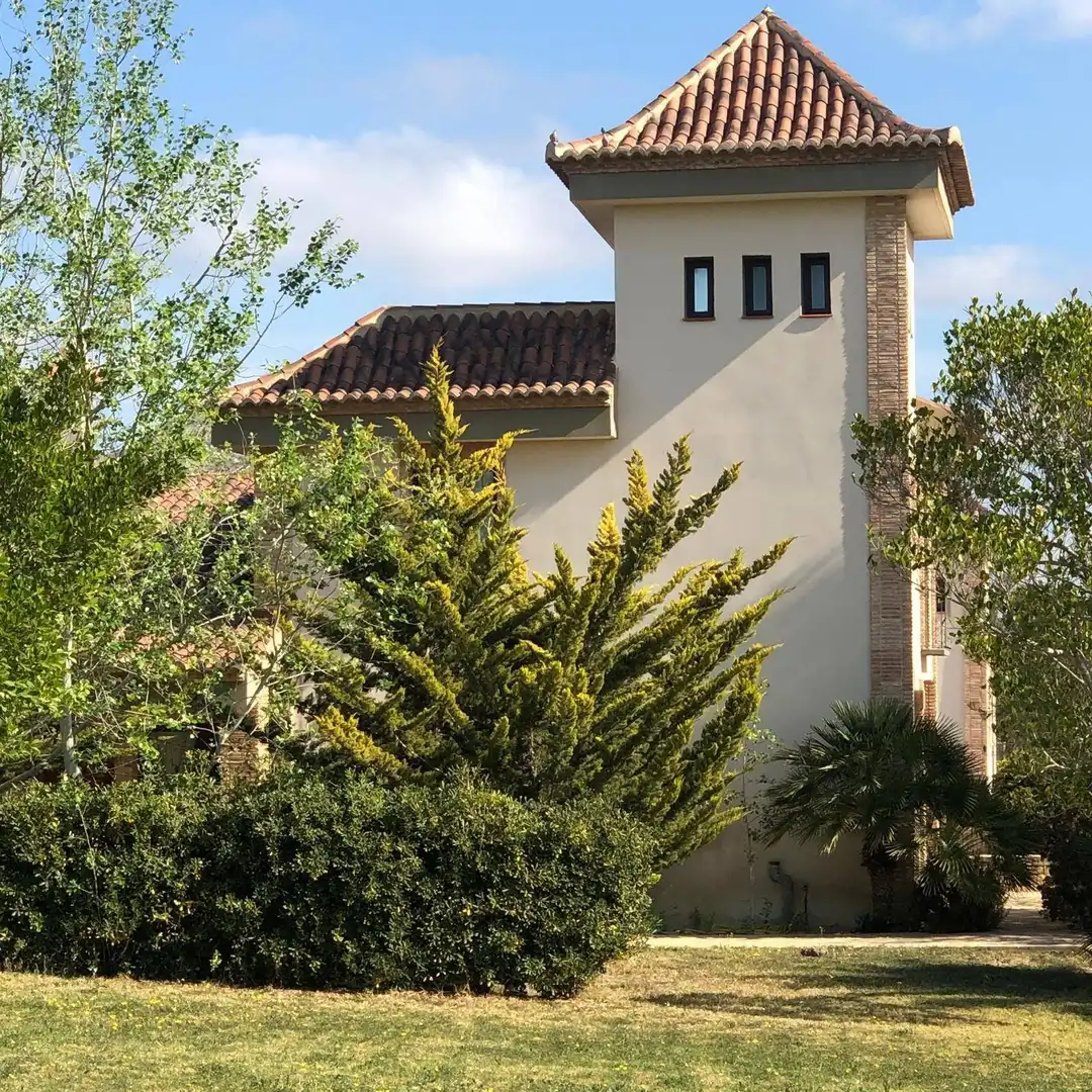 Casa rústica con terraza en venta en Partidas de Alicante, imagen 10