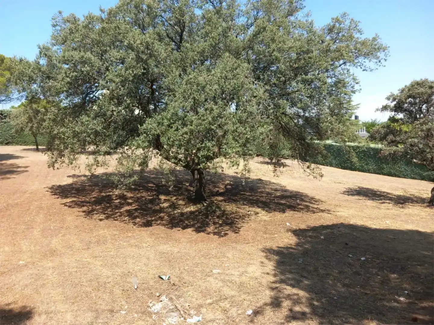Terreno en venta en Villaviciosa de Odón