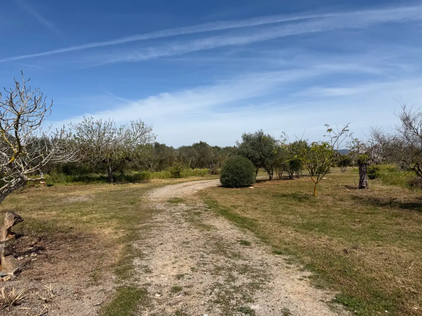 Finca rústica de alquiler en Manacor con Aire acondicionado, Calefacción y Jardín privado