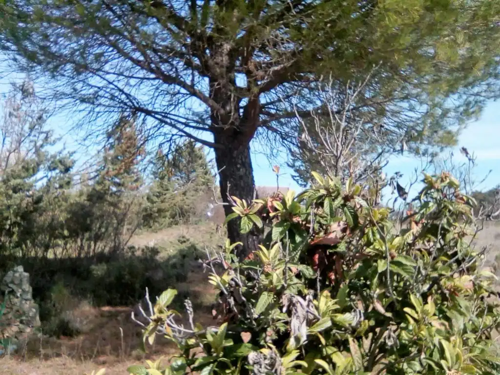 Terrenos y solares en venta en Hontoba, imagen 11