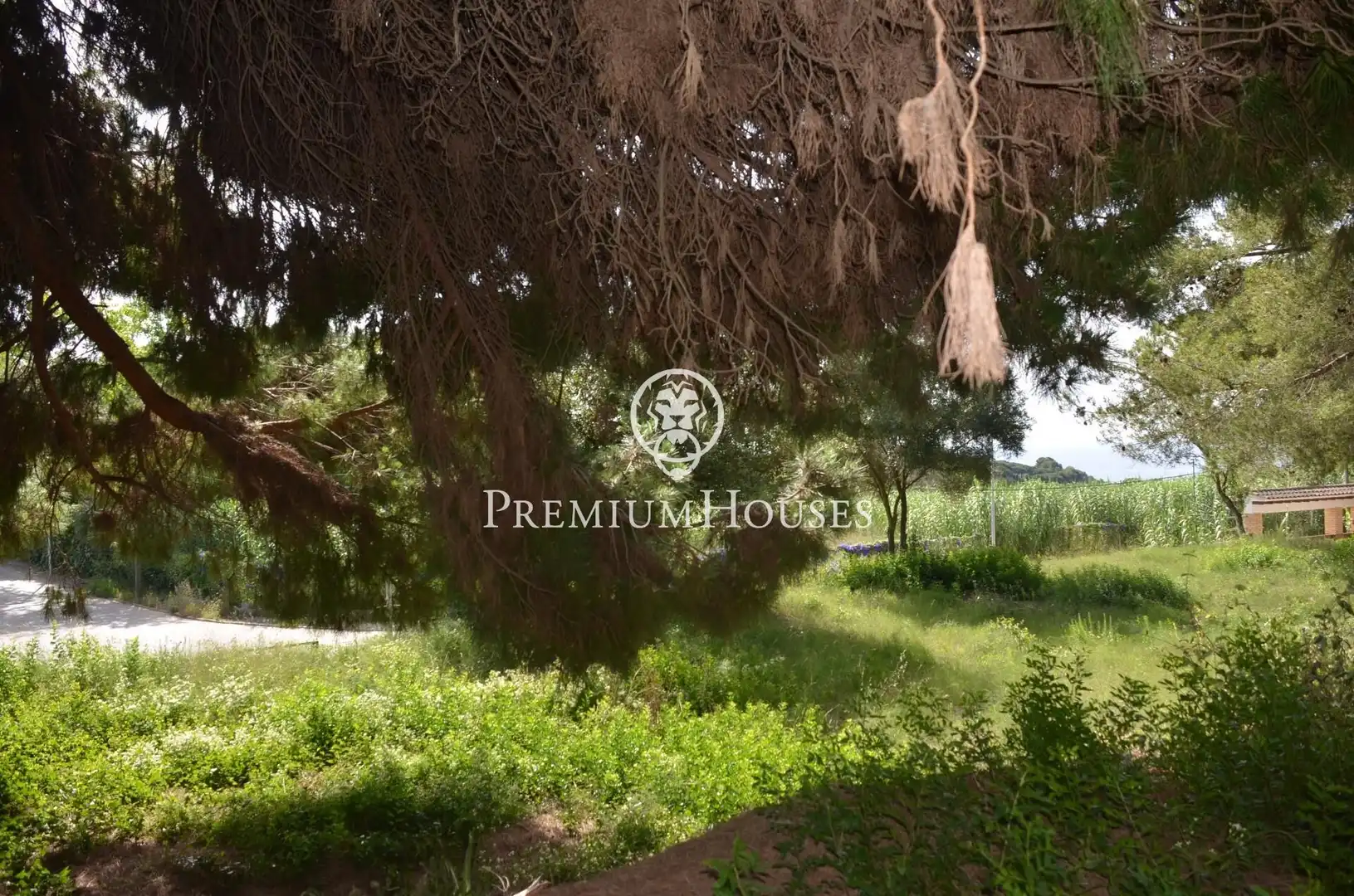 Residential land for sale in Cabrera de Mar, imagen 13