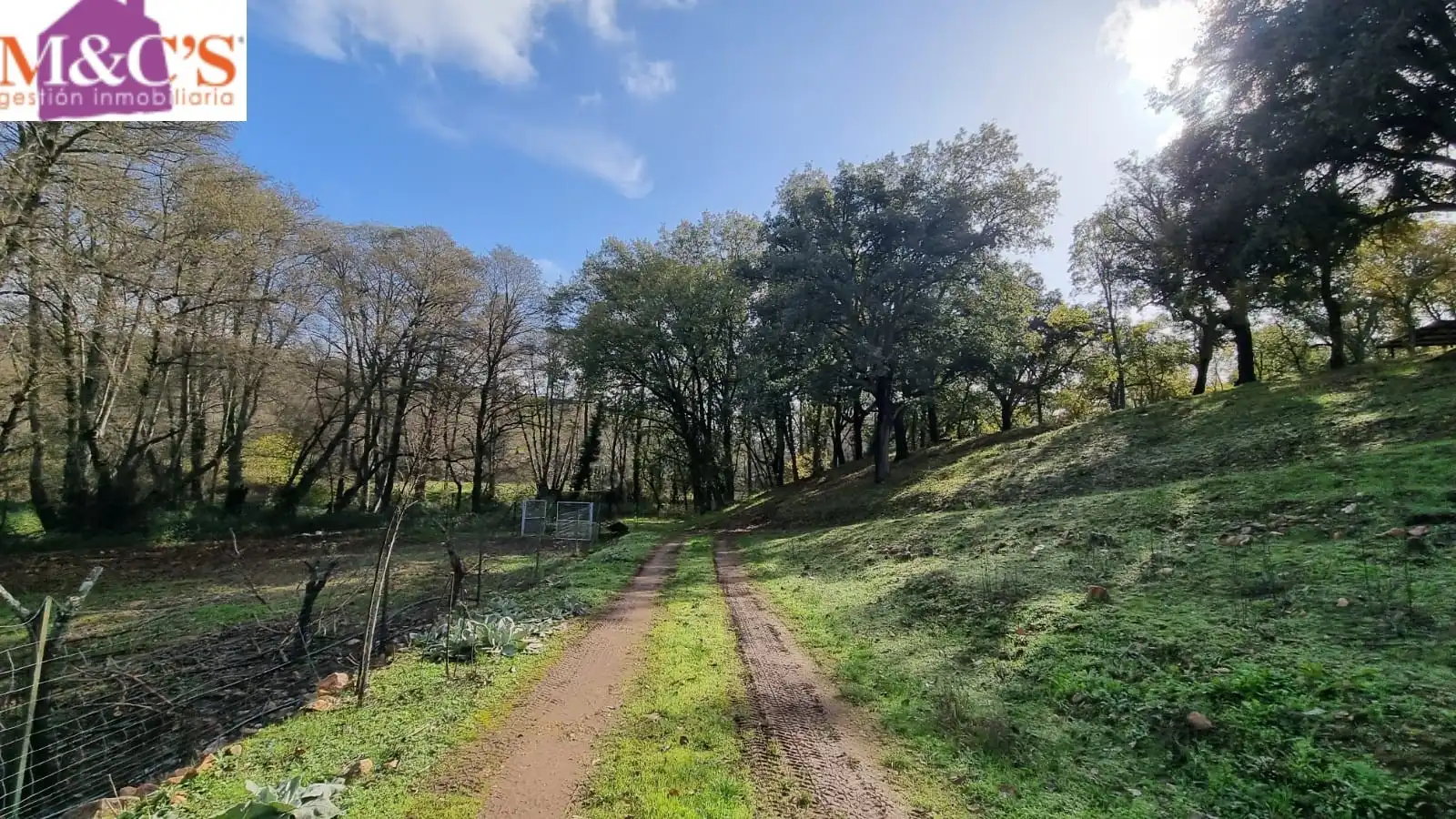 Rural land for sale in Fuencaliente, imagen 60