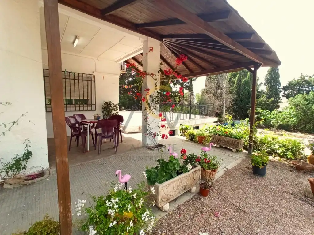 Finca rústica en venta en Calle Puchi, Campo Alto - Club de Campo