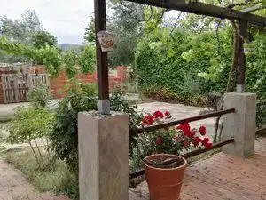 Jardín de Terreno en venta en Piedrabuena