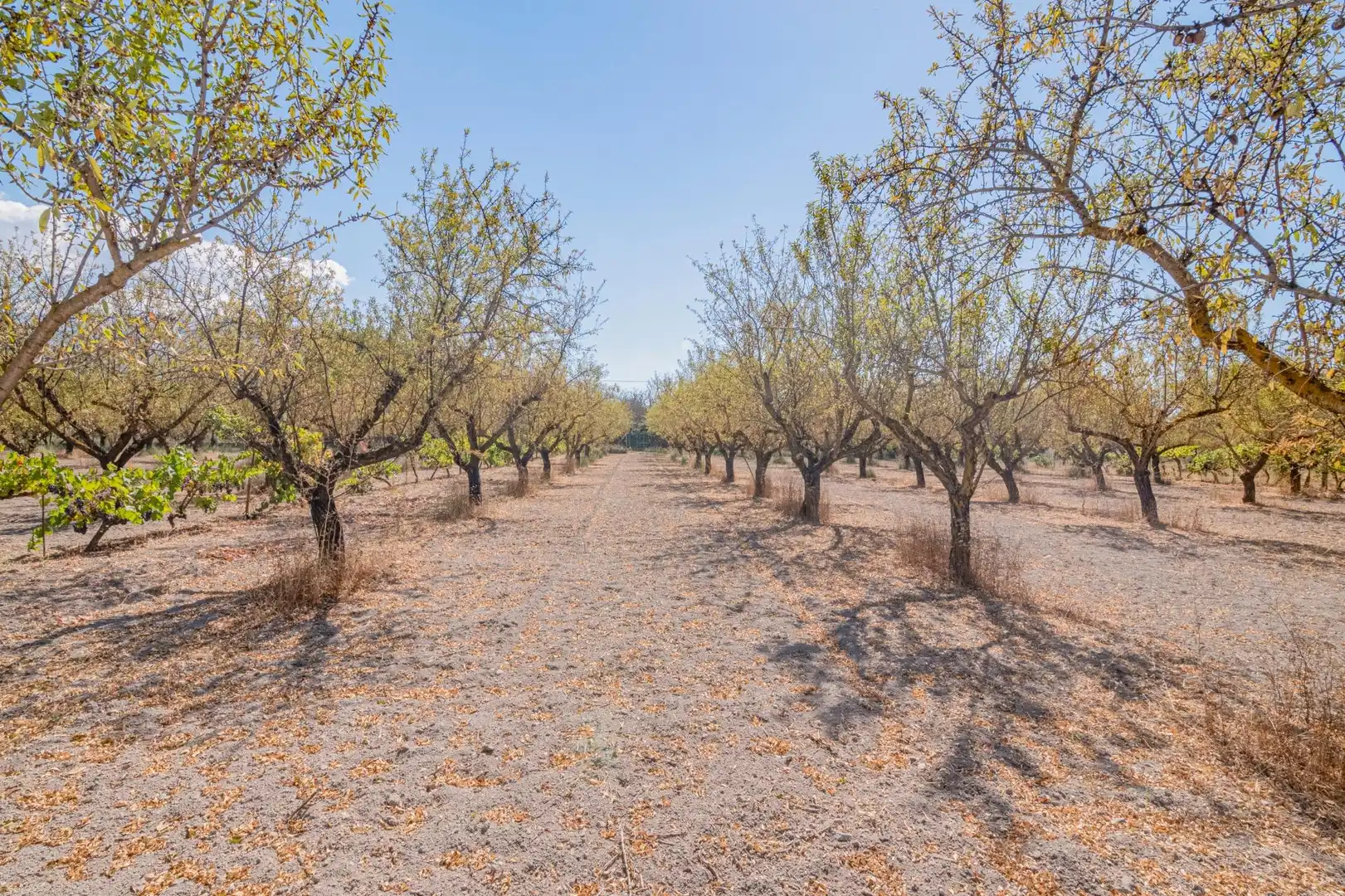 Casa rustica in vendita a Dúrcal, imagen 32