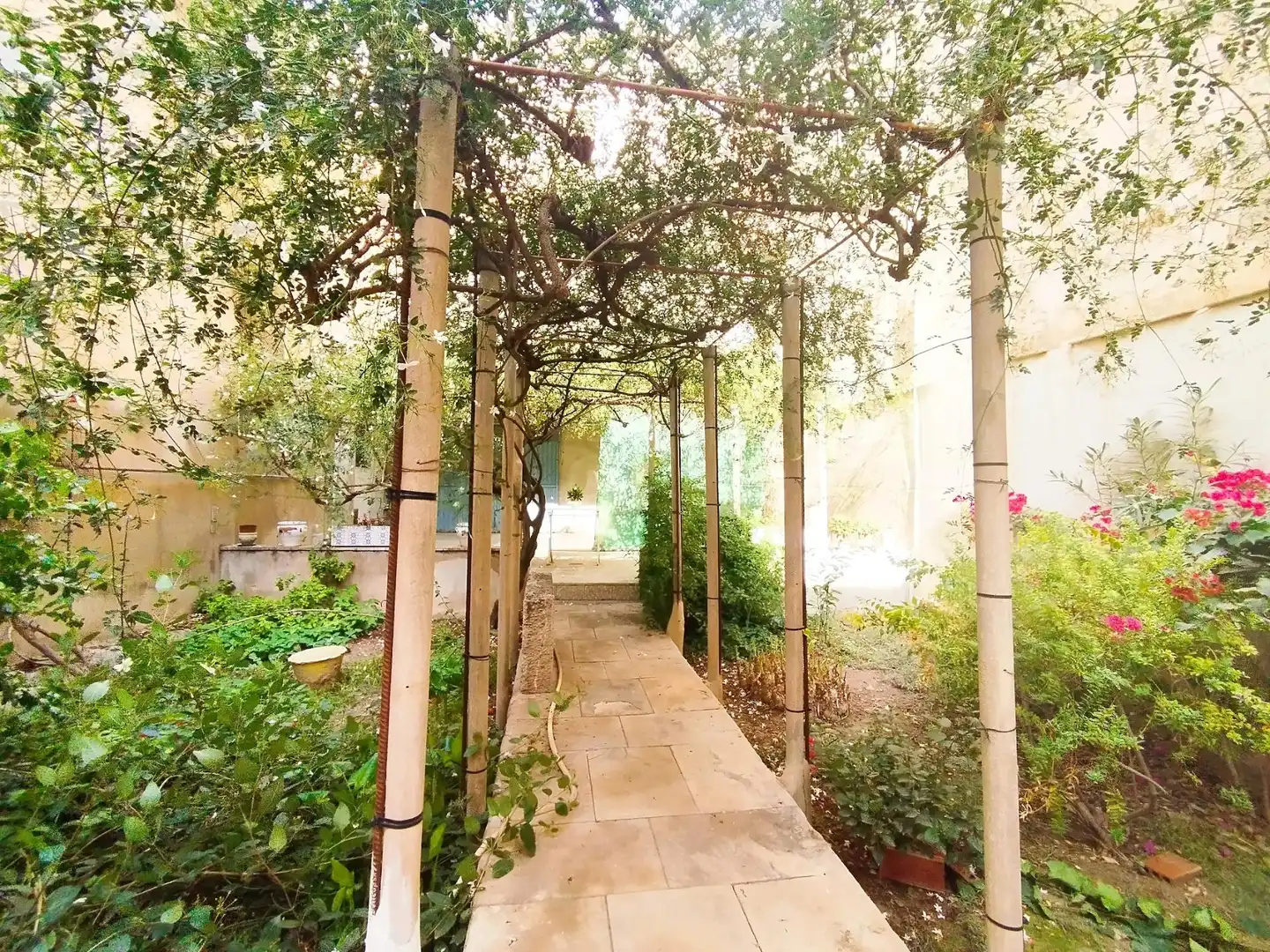 Garden of Houses for sale in Novelda  with Heating, Private garden and Terrace