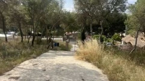 Terreno Urbano en Pinar de Mecli - Oportunidad de Inversión Premium, immagine 3
