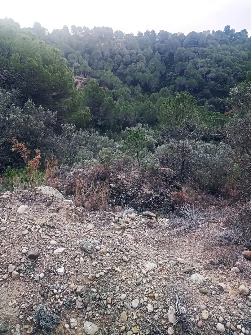 Land for sale in Olesa de Montserrat