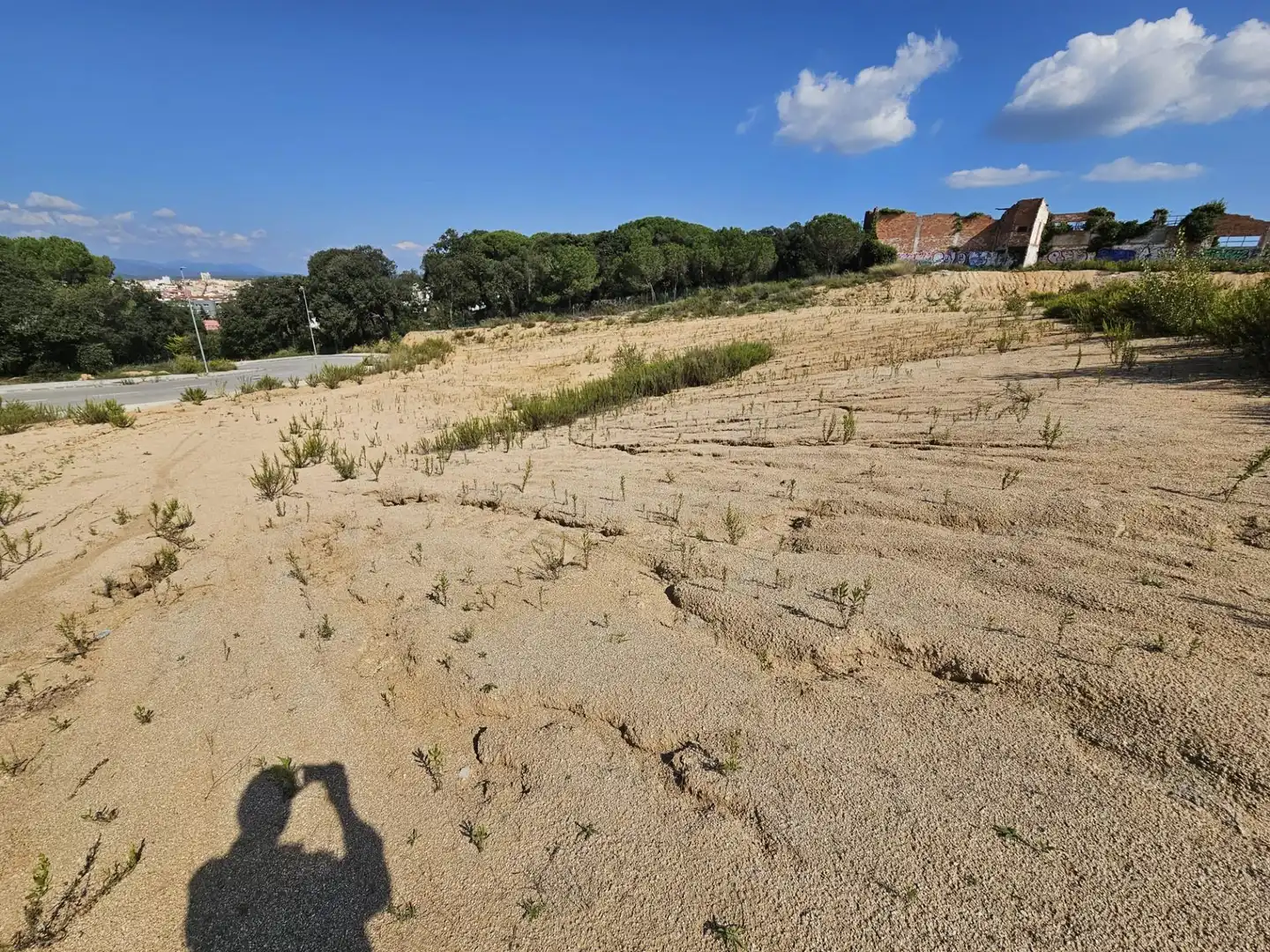 Terrenos y solares en venta en Palafolls, imagen 8