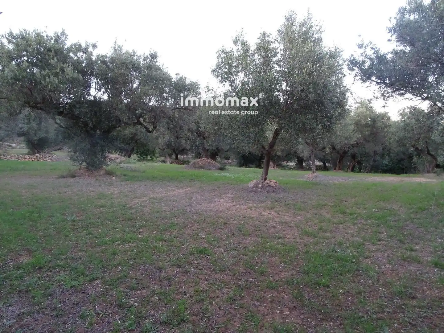 Terrain résidentiel à vendre à 12, imagen 18