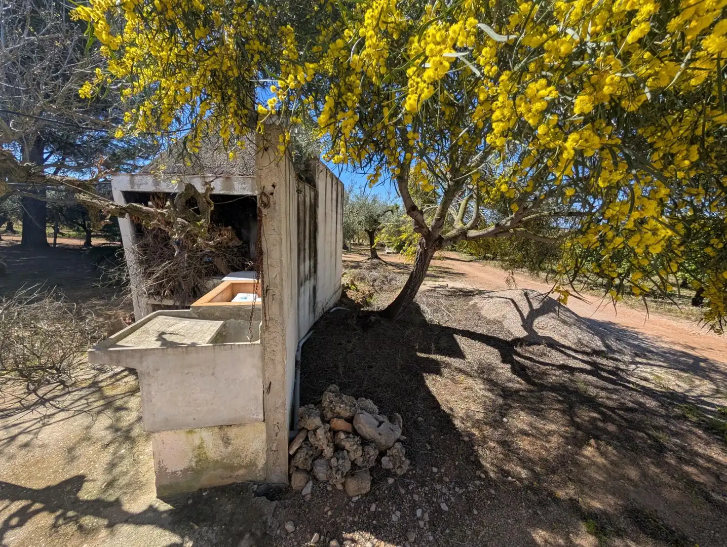 Grundstücke zum Verkauf in Ulldecona