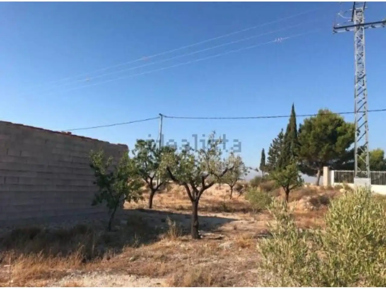 Rural land for sale in Calle MAYOR, imagen 12