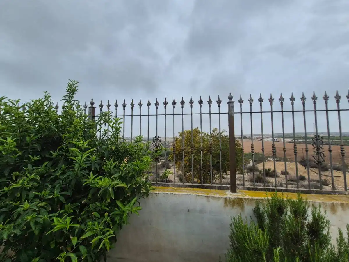 Chalet con piscina en venta en Partida la Matanza, imagen 5