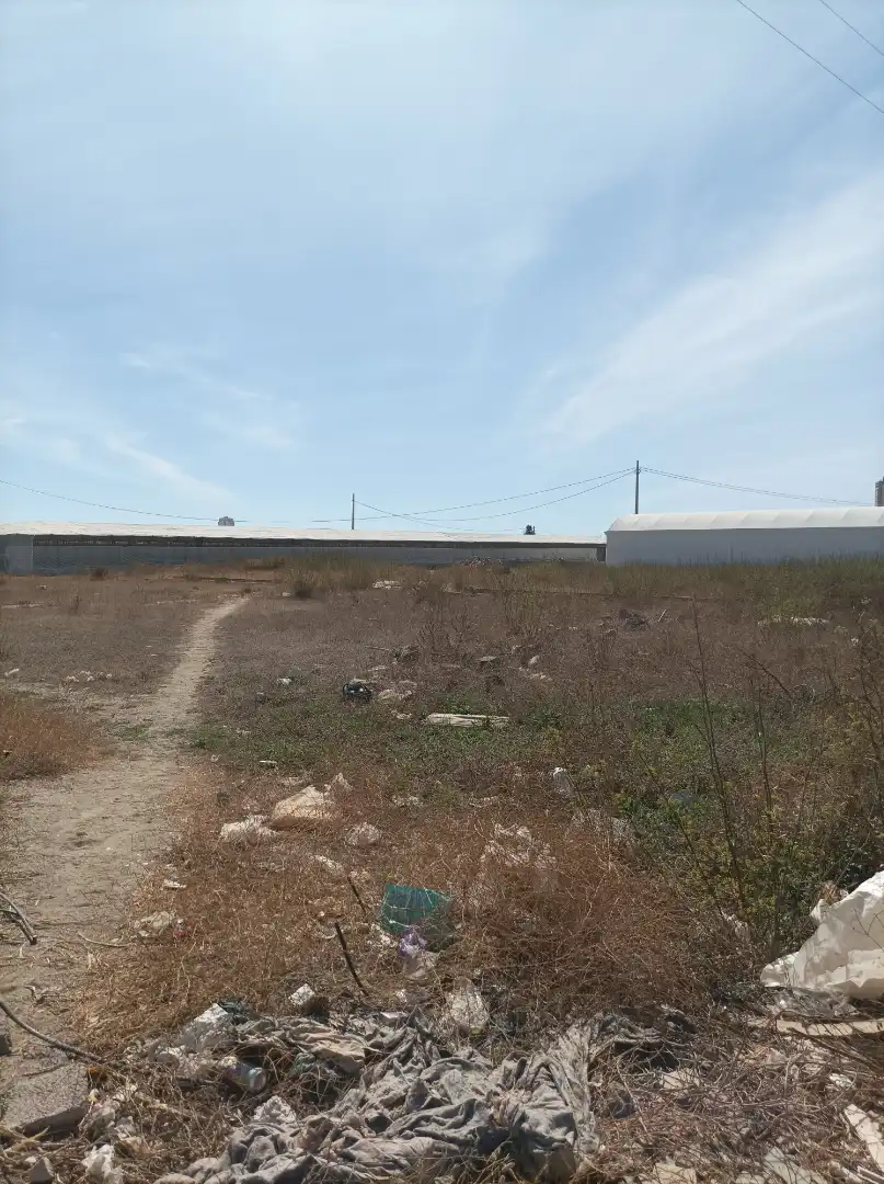 Terreny rústic en venda a Almerimar, imagen 2