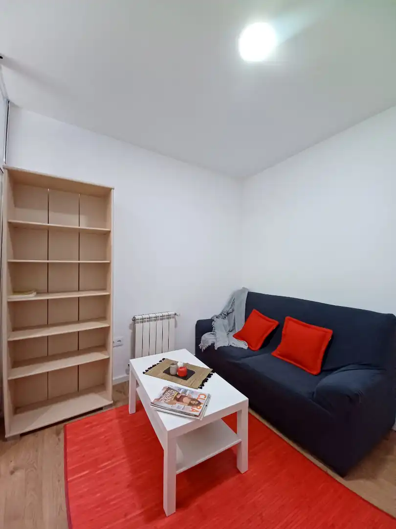 Sala d'estar de Pis de lloguer en Santiago de Compostela  amb Calefacció, Terrassa i Moblat