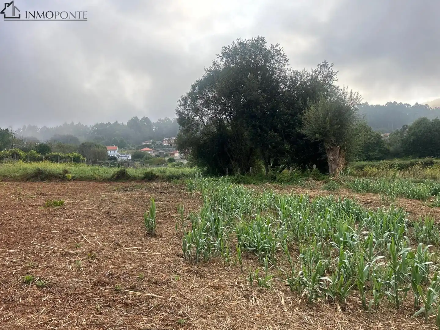Terrenys i solars en venda a Parroquias Rurales, imagen 17
