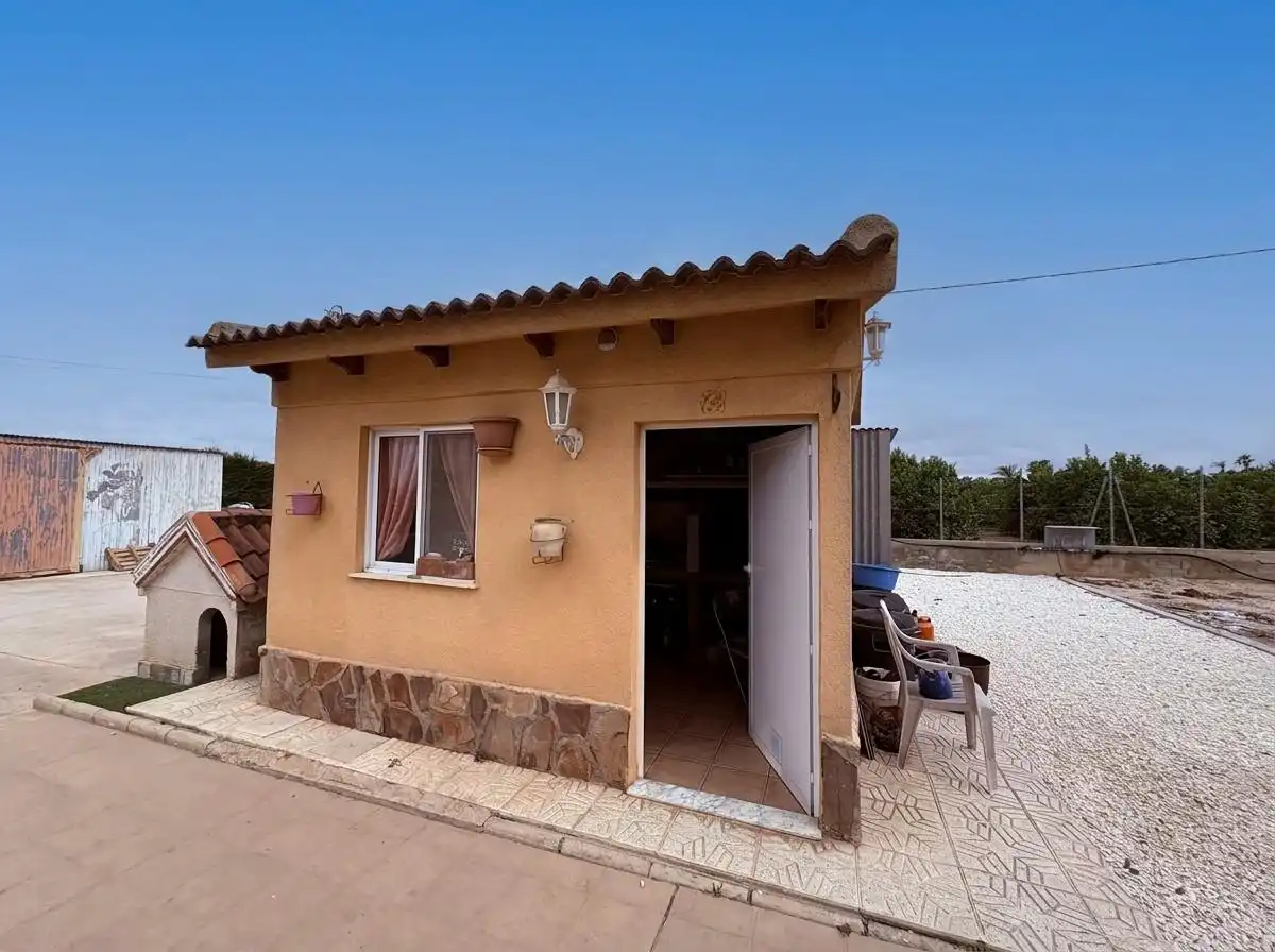 Exterior view of Houses for sale in Elche / Elx  with Swimming Pool