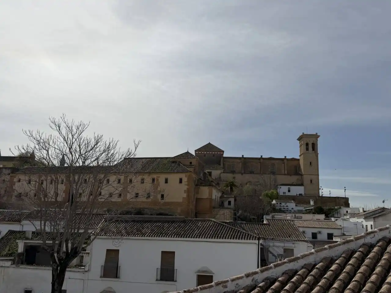 Vista exterior de Casa o xalet en venda en Osuna amb Terrassa