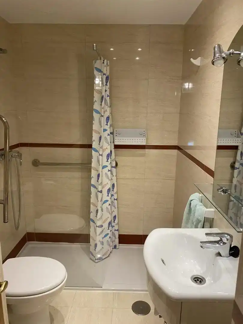 Bathroom of Flat for rent in Centro