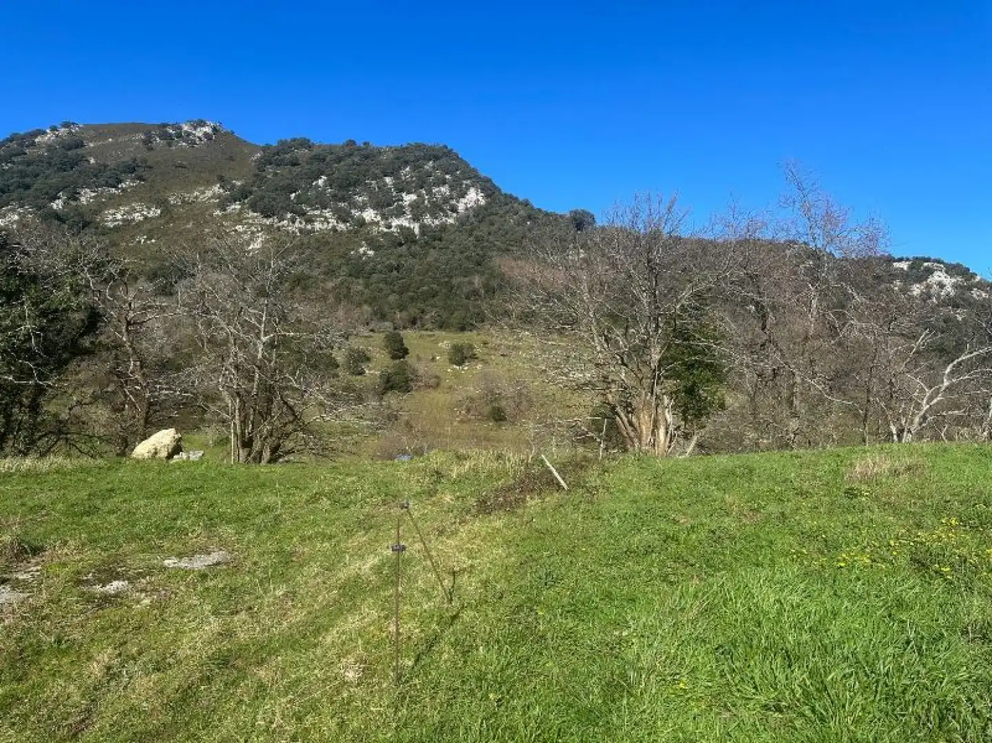 Rural land for sale in Peñamellera Baja - narganes, imagen 6