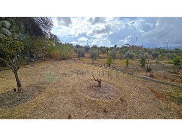 Residential land for sale in Camino Rojas De