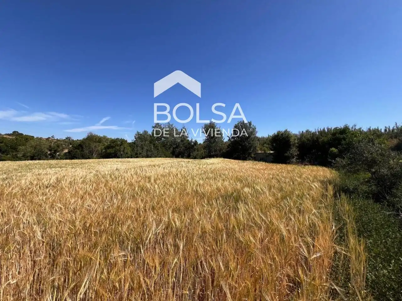 Rural land for sale in Barri Mion - Puigberenguer, imagen 6