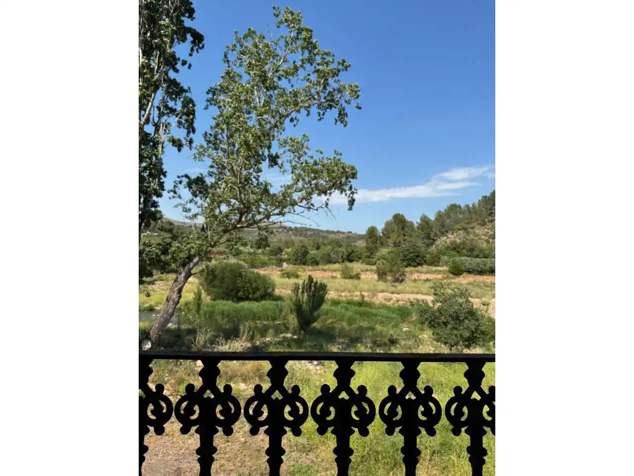 Jardí de Finca rústica en venda en Soneja