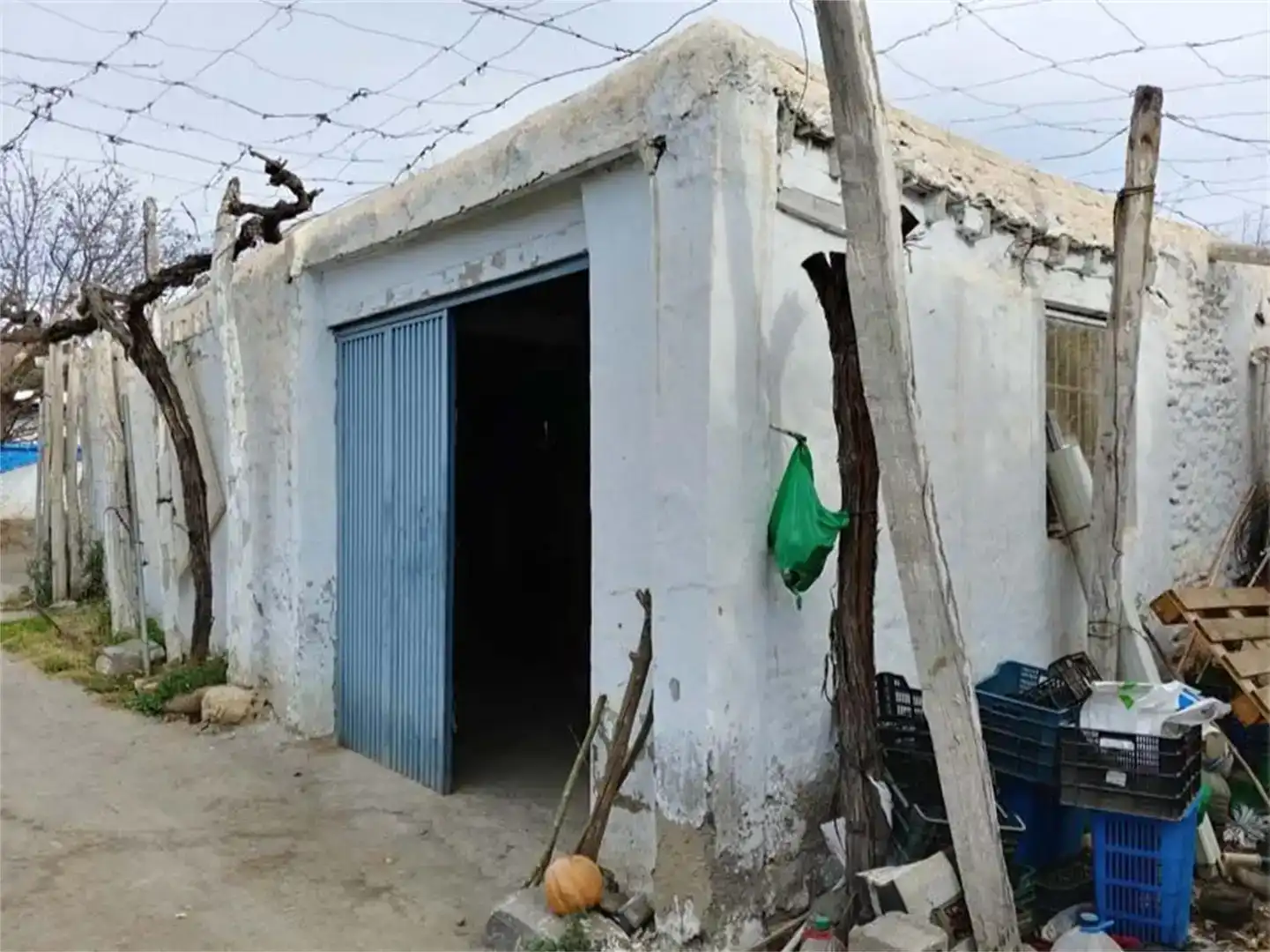 Vista exterior de Terreno en venta en Alboloduy, Almería