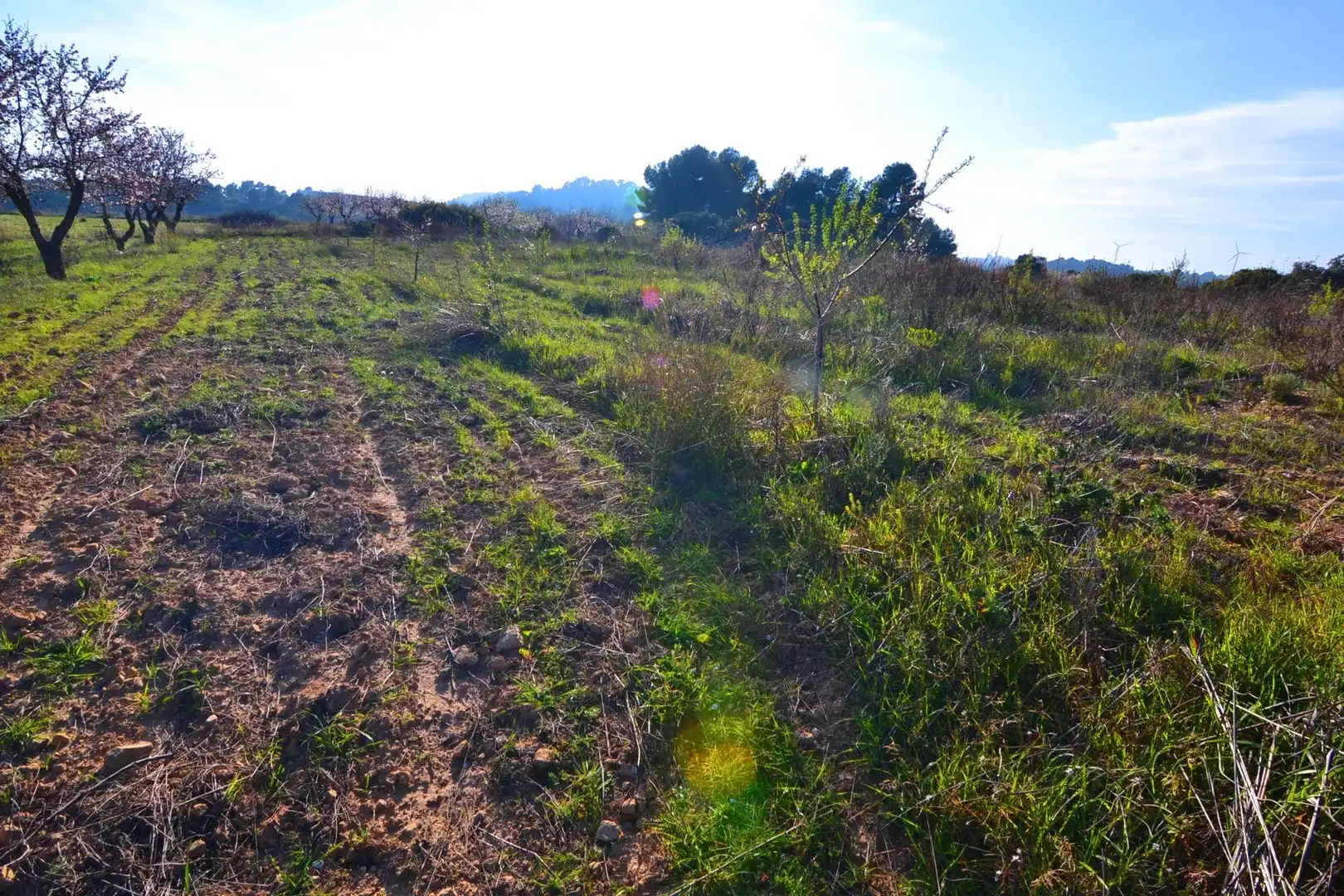 Rural land for sale in Gandesa, imagen 43