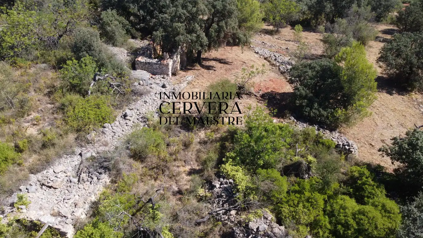 Terreno rustico in vendita a Cervera del Maestre, imagen 24