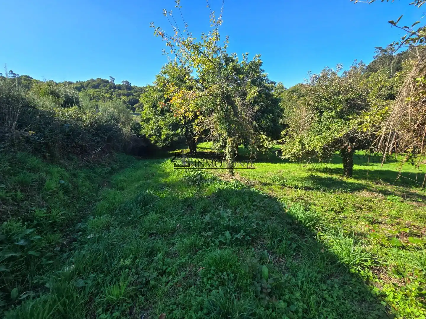 Casa o xalet en venda en Cerdedo amb Jardí privat