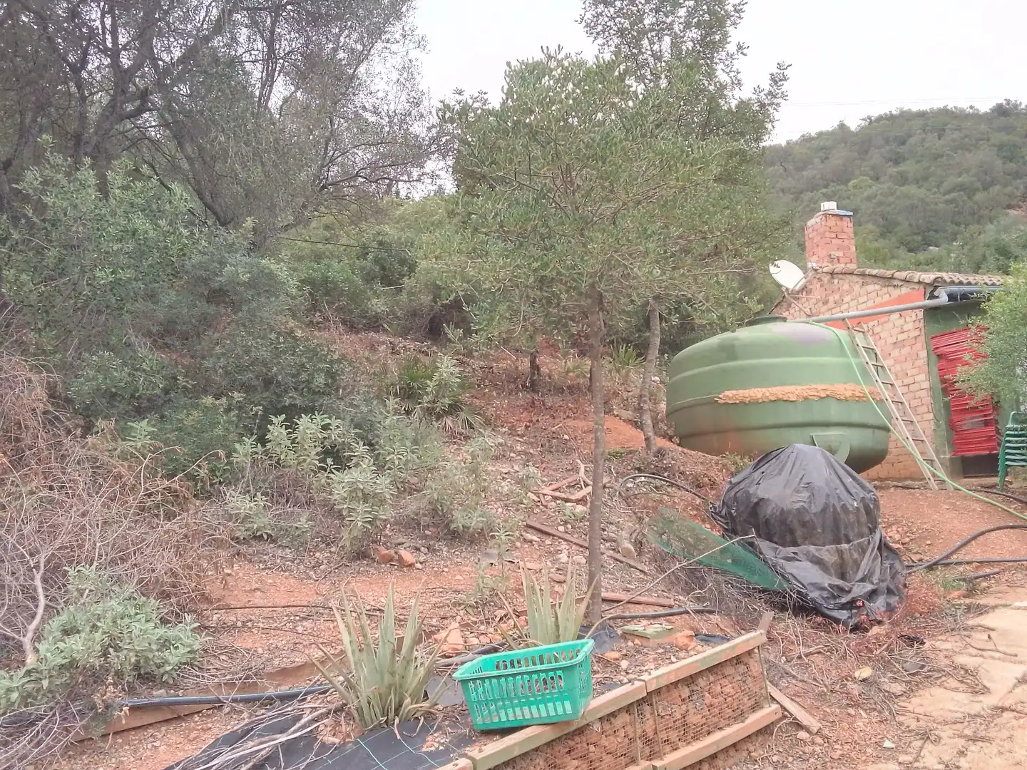 Finca rústica en venta en El Bosque con Calefacción, Jardín privado y Terraza