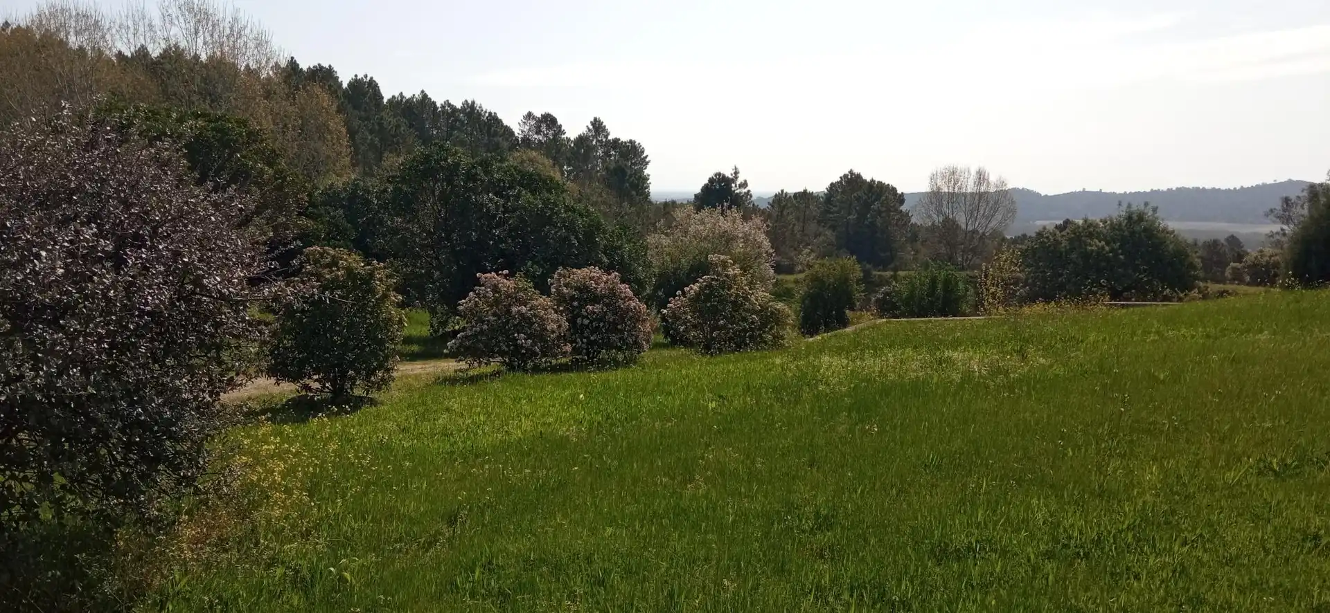 Terreni e lotti in vendita a EX-203 89, imagen 44