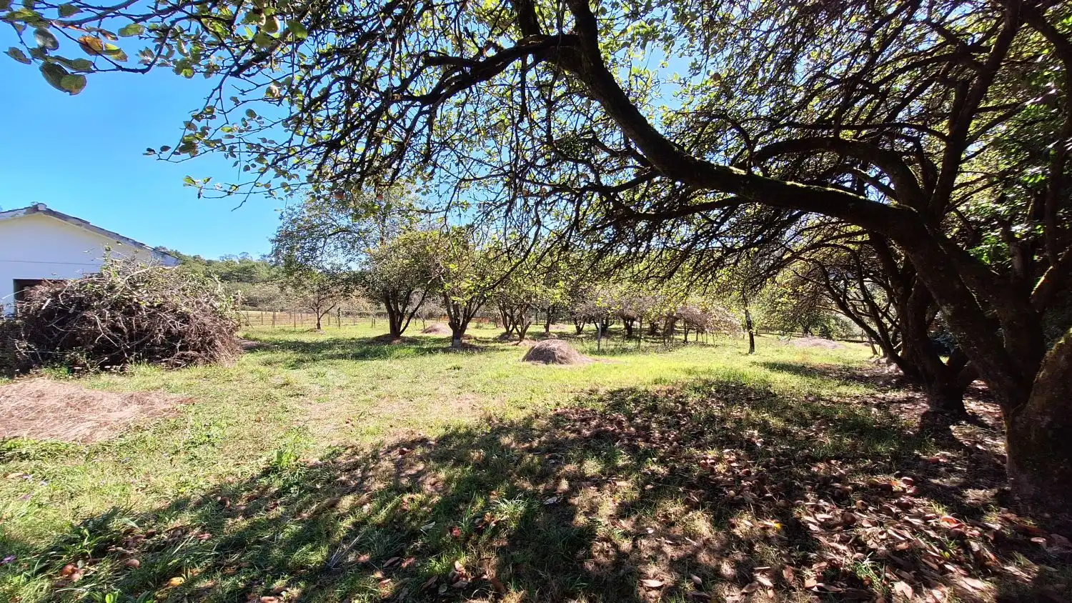Finca rústica en venda a Las Regueras