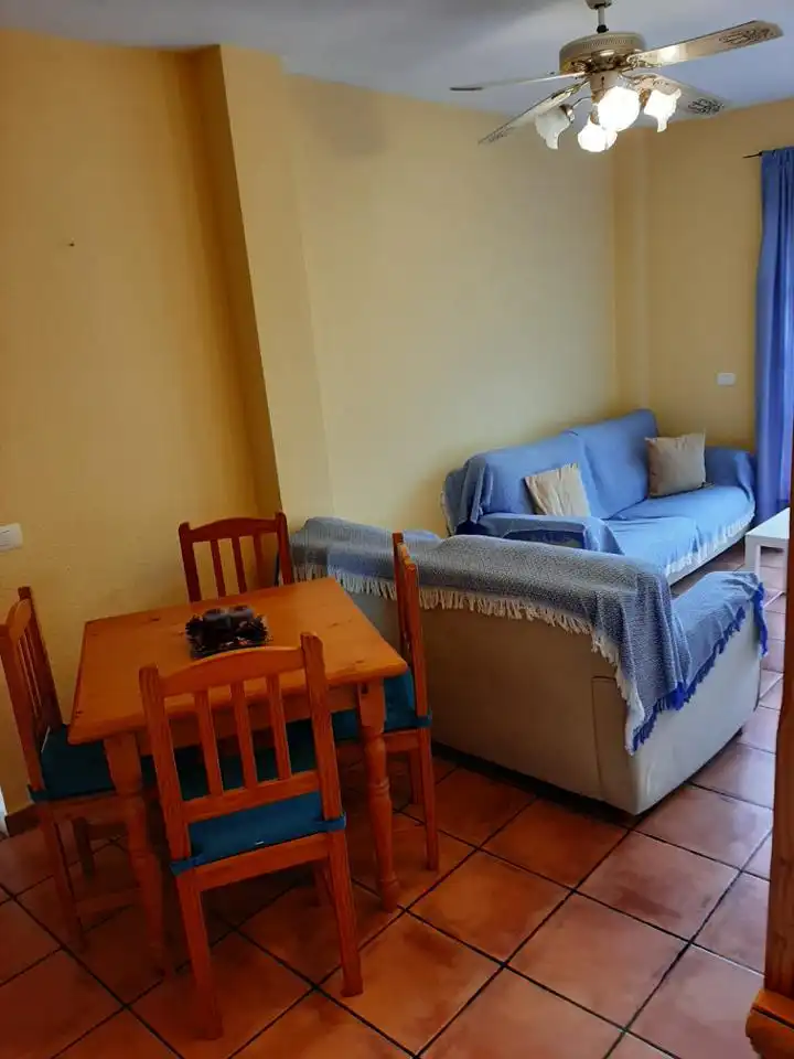Living room of Apartments for rent in Adeje  with Furnished