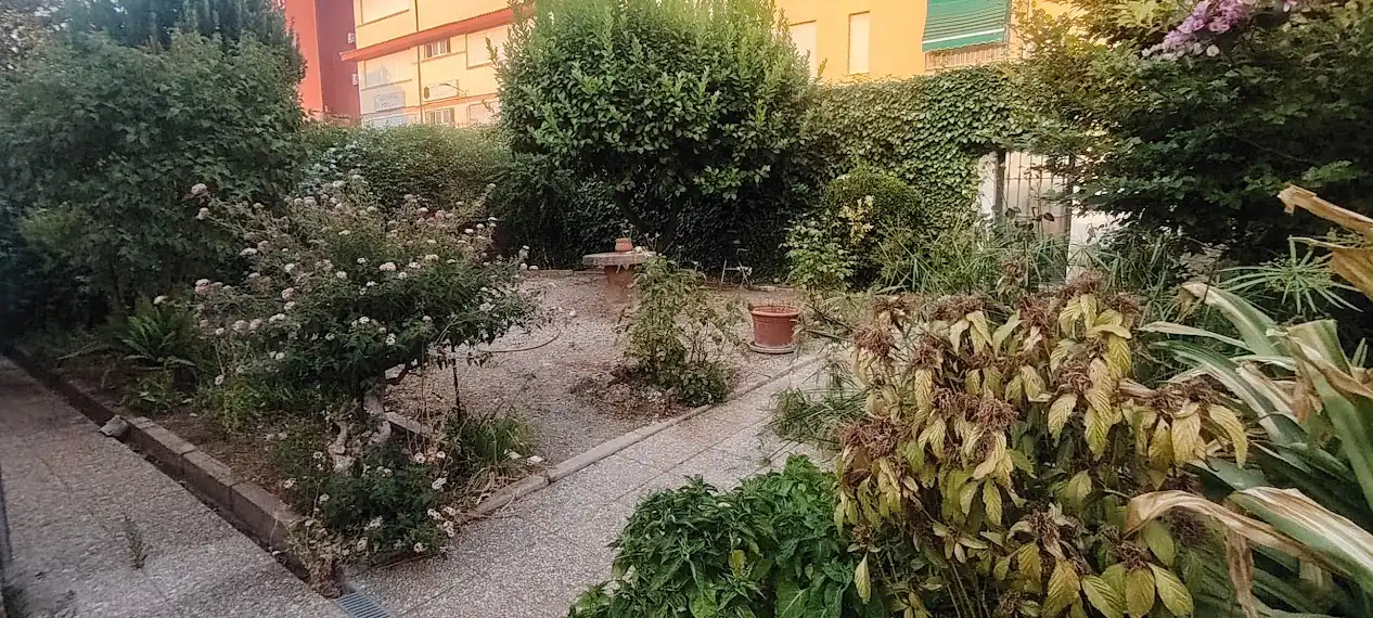 House with garden for sale in Calle Doctor 14, imagen 3