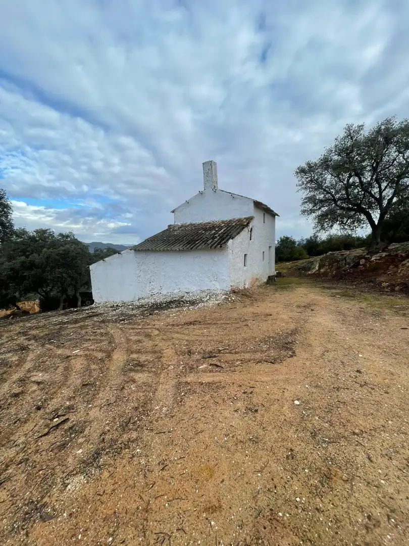 Terreno rustico in vendita a Urbanizacion el Elena S-7 6, imagen 15