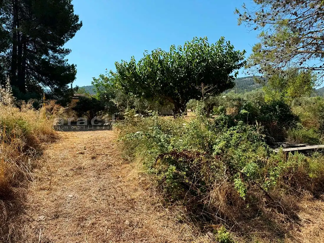 Finca rústica en venta en Bocairent con Piscina