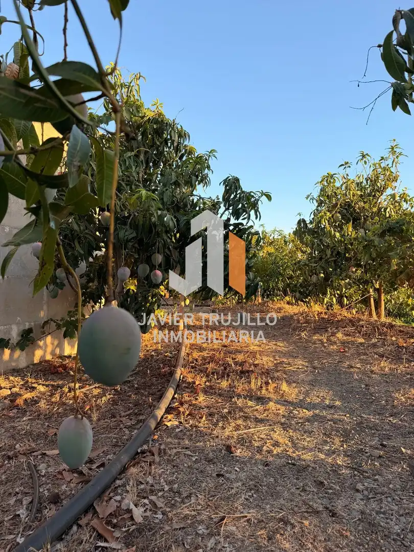 Country house for sale in Vélez-Málaga ciudad, imagen 29