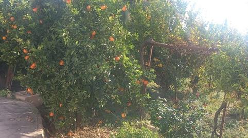 Photo 5 of Houses for rent in Alzabares, Elche / Elx