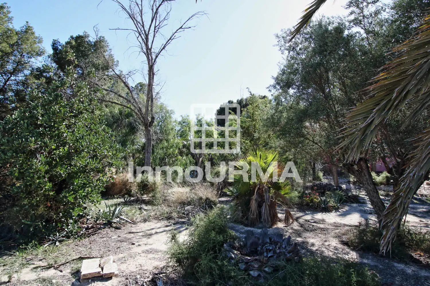 Casa o xalet en venda en Elda amb Jardí privat