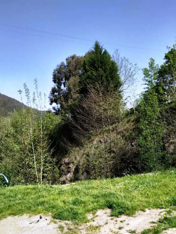 Terrains et parcelles à vendre à C/ Camino de Errota, imagen 15