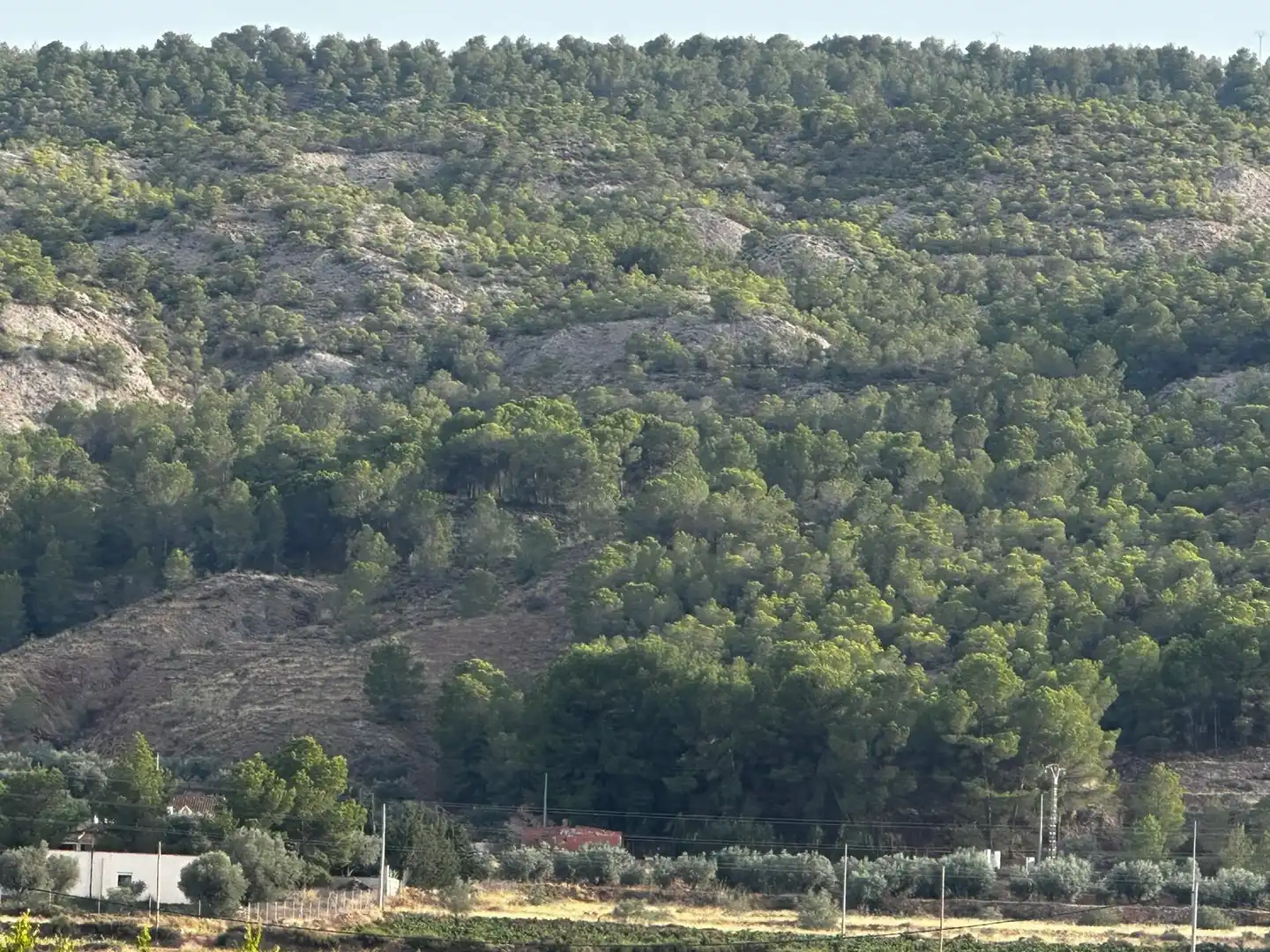 Wohnbaugrundstück zum Verkauf in El Pinós / Pinoso, imagen 13
