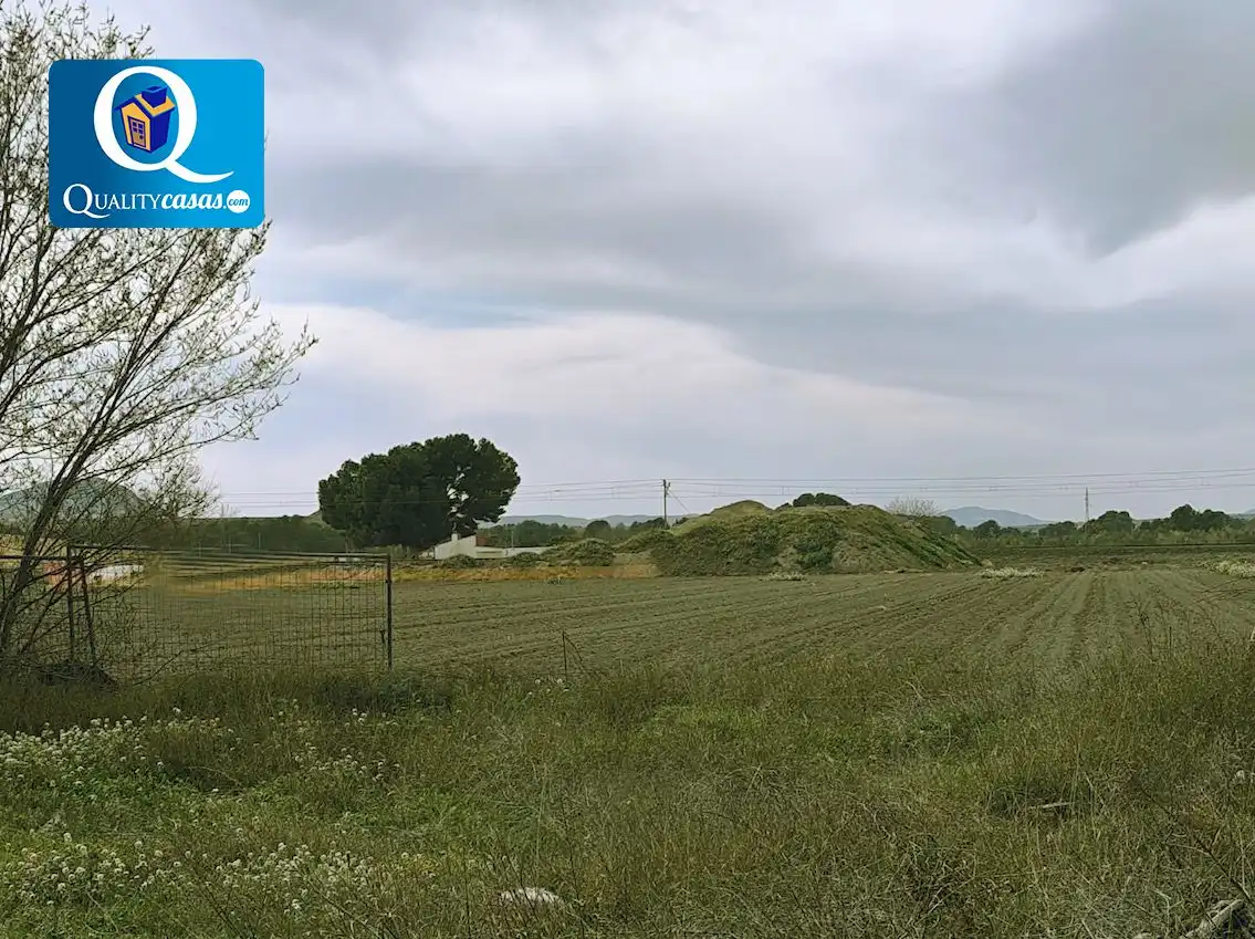 Finca rústica en venda en Villena