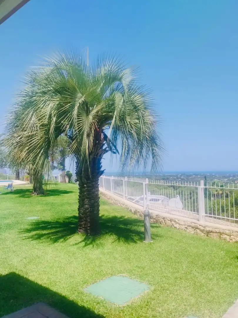 Attique avec piscine à vendre à La Xara - La Sella, imagen 5